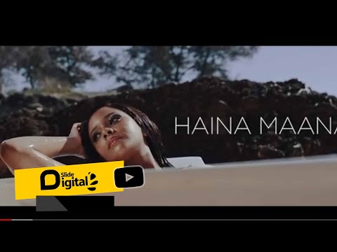 Mimi Mars - Haina Maana (Audio/Video)