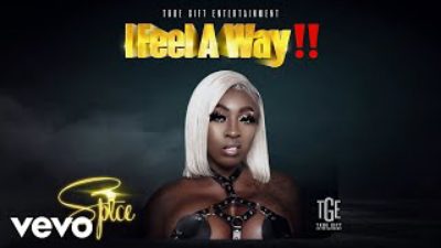 Spice – I Feel A Way (Prod. by Demarco)
