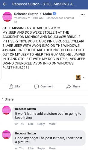 Good Samaritan?s car and dog stolen by crash victim she went to help