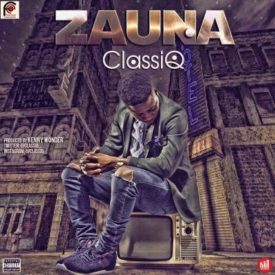 ClassiQ - Zauna
