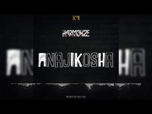 Harmonize - Anajikosha