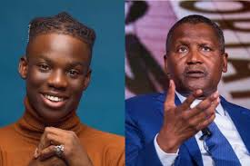 "Dangote should have listened to Rema" - Nigerians reacts to Dangote's Side Chick Scandal