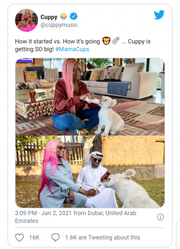 DJ Cuppy Shares pictures Of Her Pet Lion In Dubai (Photo)