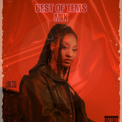 [Mixtape] DJ Skipmore - Best Of Tems Mix