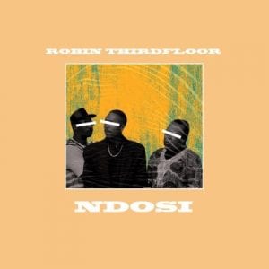 Robin Thirdfloor - Ndosi