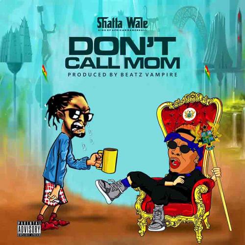 Shatta Wale - Don