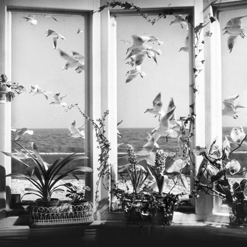 Andy Stott – “The Beginning