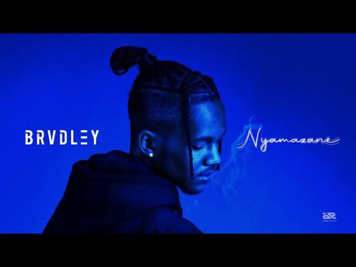Brvdley - Nyamazane