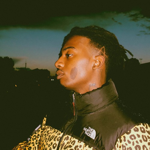 Playboi Carti - Raf (RiRi