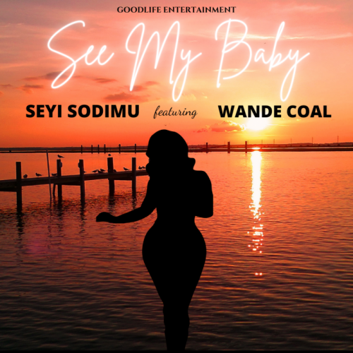 Seyi Sodimu - See My Baby Ft. Wande Coal