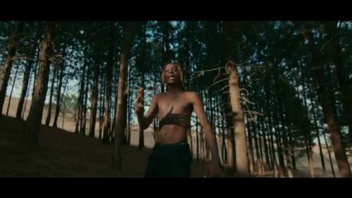 VIDEO: Fireboy DML Ft. D Smoke – Champion