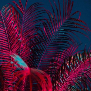 Souloho - Labelungu Ft. Sir Trill, Mr JazziQ, Busta 929