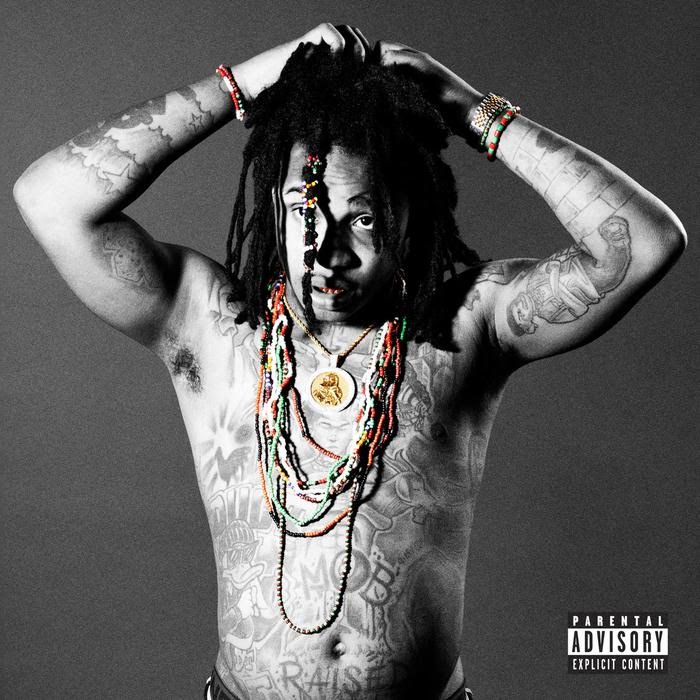 Lil 1 DTE - Homixide Feat. Playboi Carti