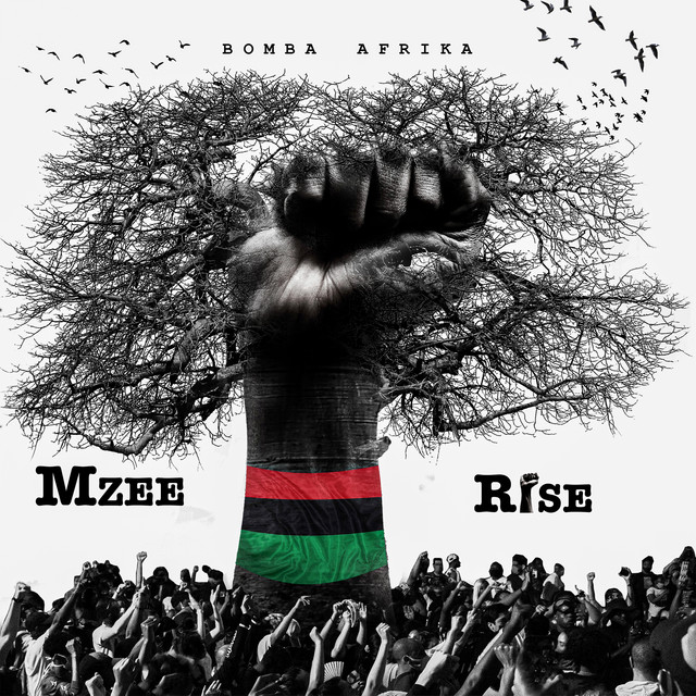 Album: Mzee - Rise