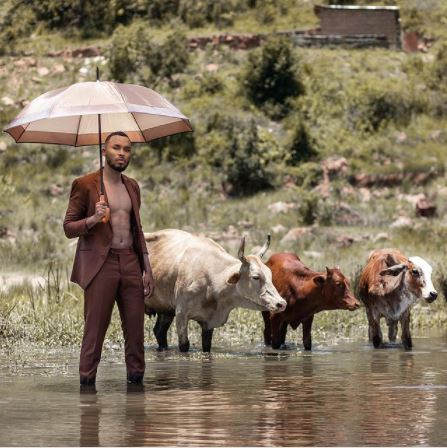 Zulu Mkhathini - Sho Case