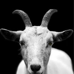 G-God – G269 (Tech mix)