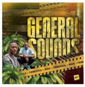 Bido Vega & TribeSoul – Sonics Flavour (Grootman Mix)