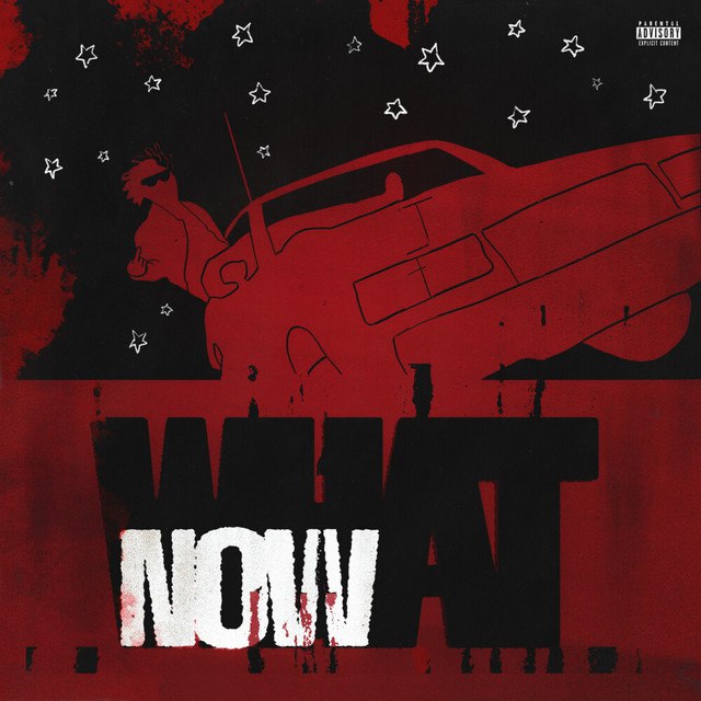 DC the Don - WHAT NOW mP3