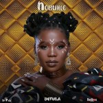 Nobuhle – Fire ft. Mpho Wav