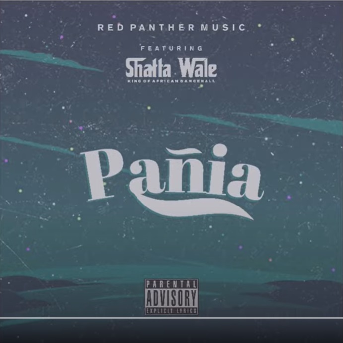 Shatta Wale - Panai