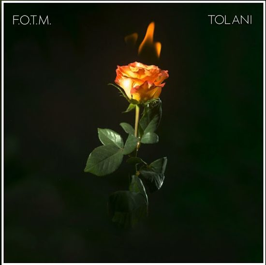 Tolani - Fire On The Mountain