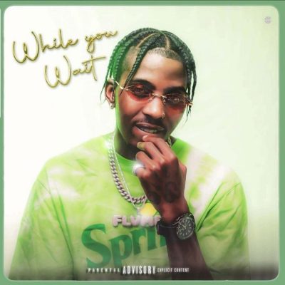 EP: Flvme - While You Wait