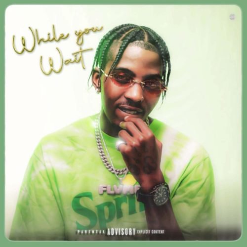 Flvme - Somethin' New