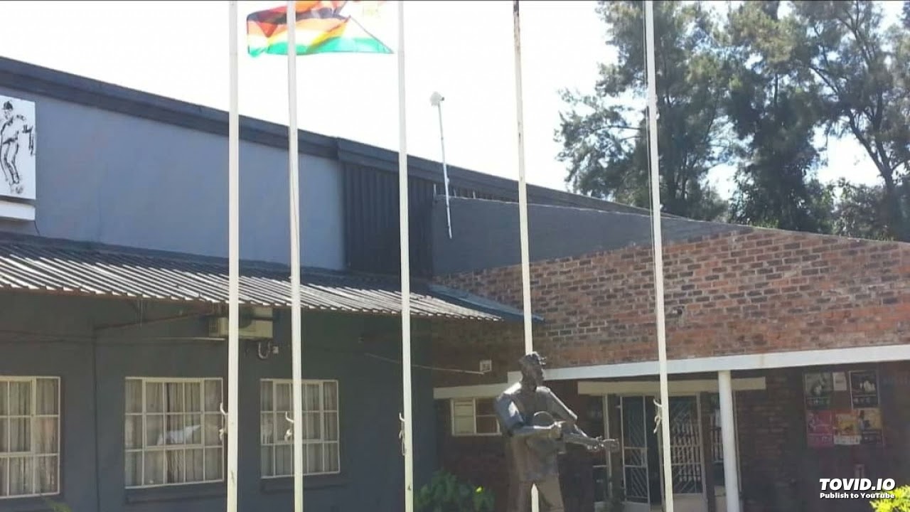 Tocky Vibes - Pakare Paya