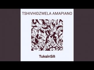 TuksinSA - Tshivhidzwela Amapiano