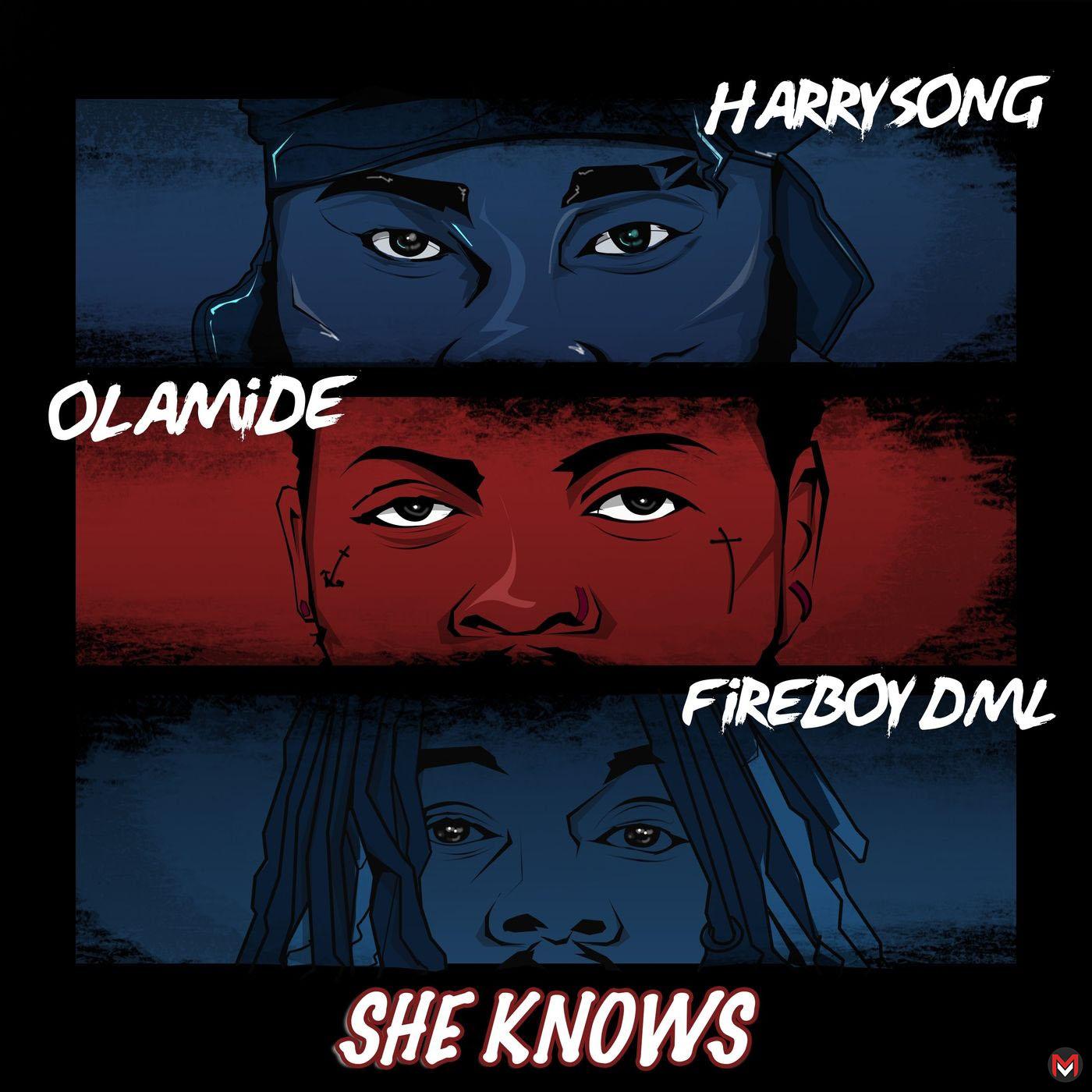 Harrysong - She Knows Ft. Fireboy DML, Olamide