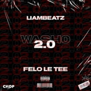 Liam Beatz & Felo Le Tee - Washo